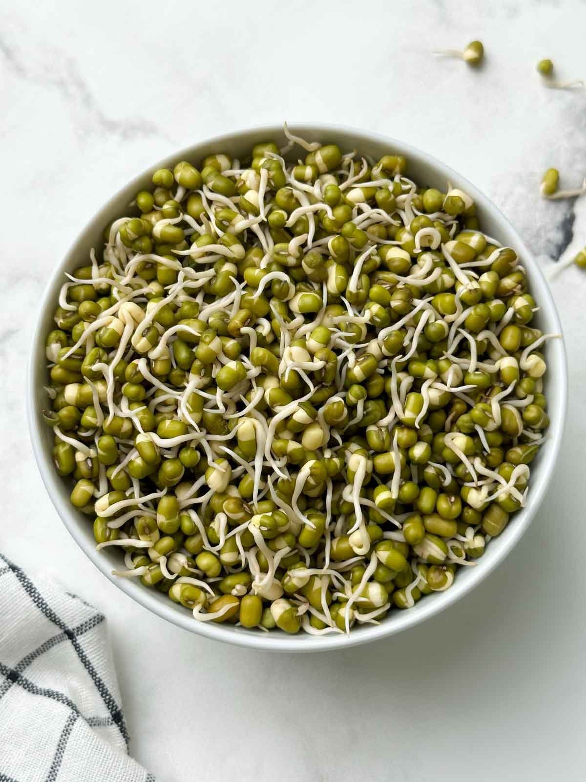 Sprouts