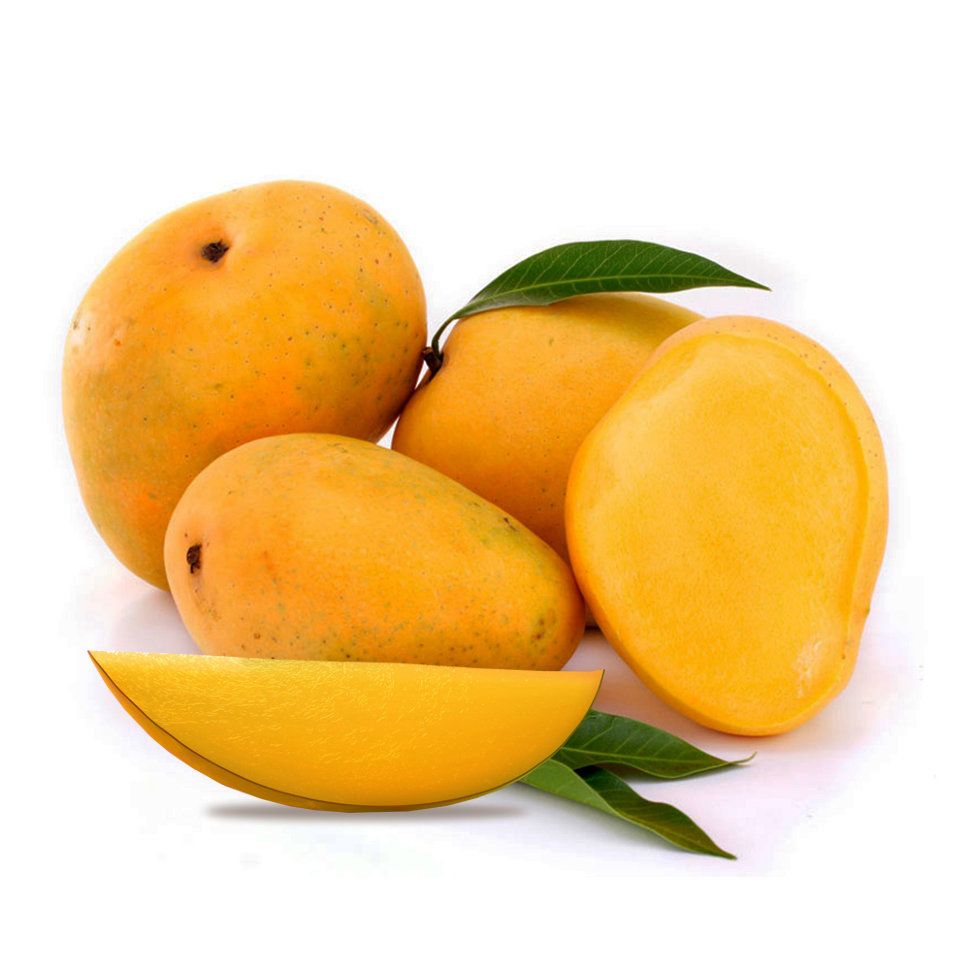 Organic Alphonsa mangoes