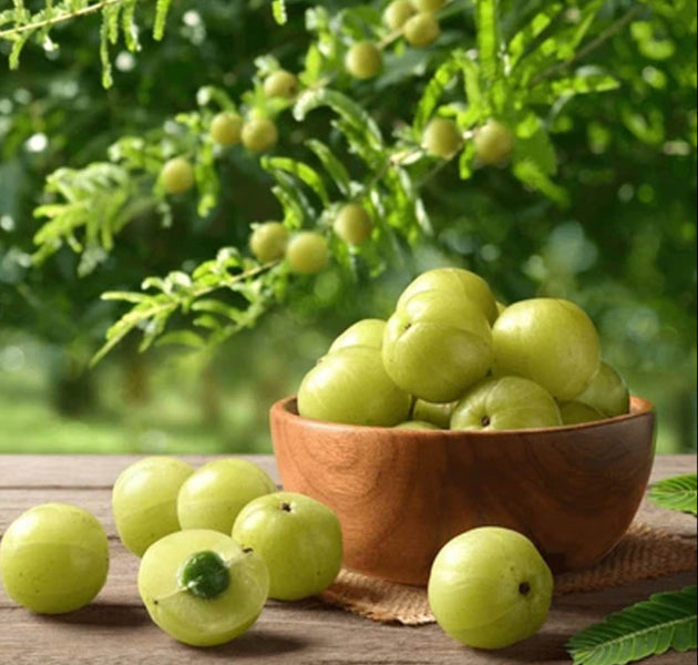 Goosberry - Amla