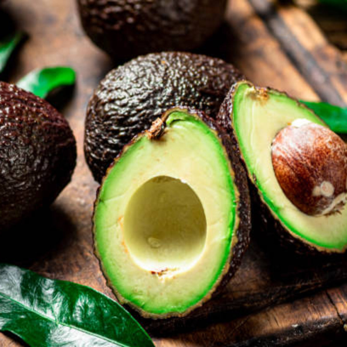 Avocado