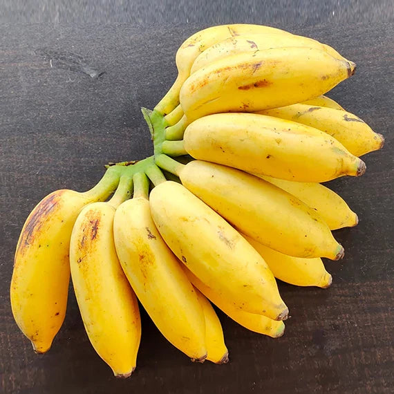 Banana