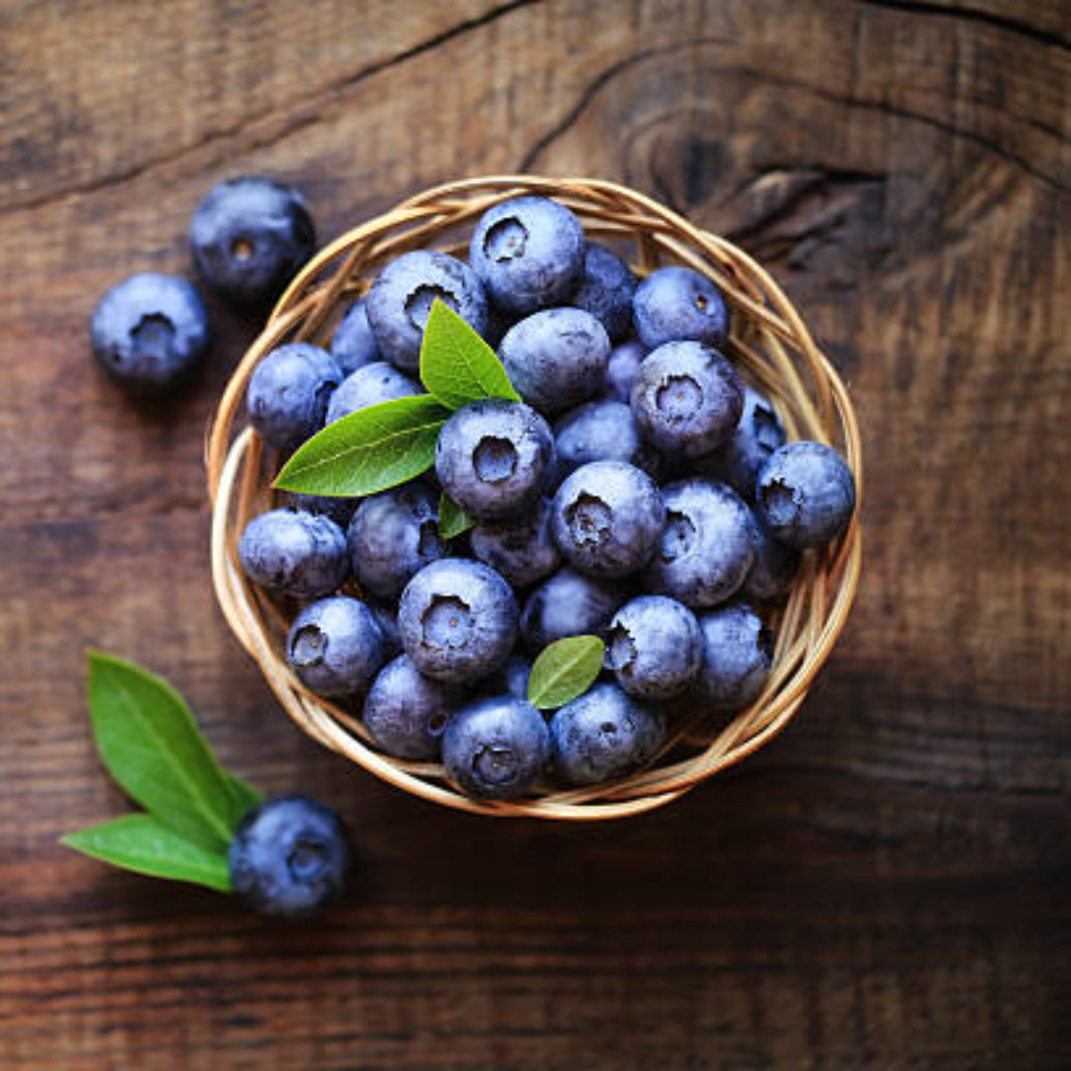 Blueberry Fresh