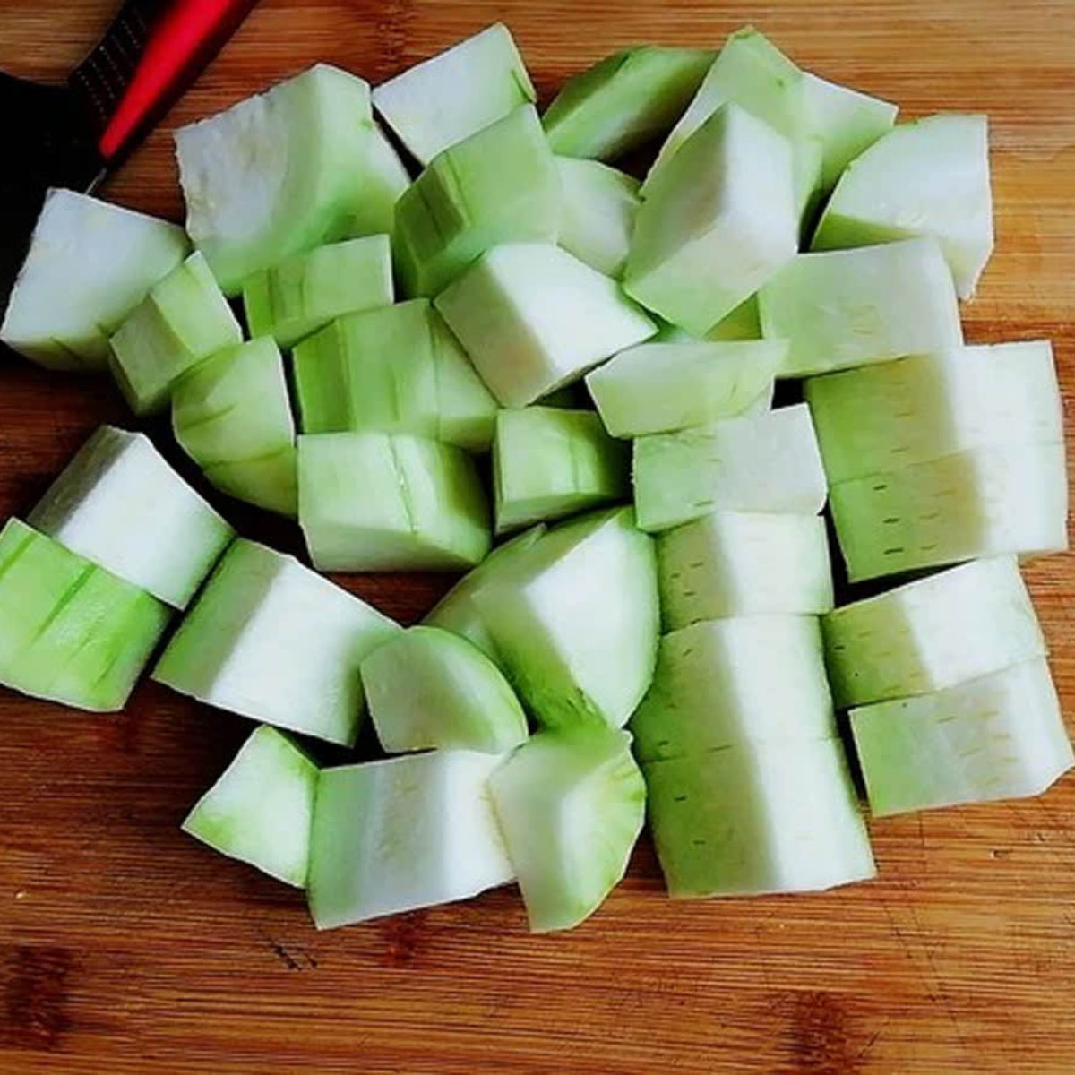 Bottle Gourd