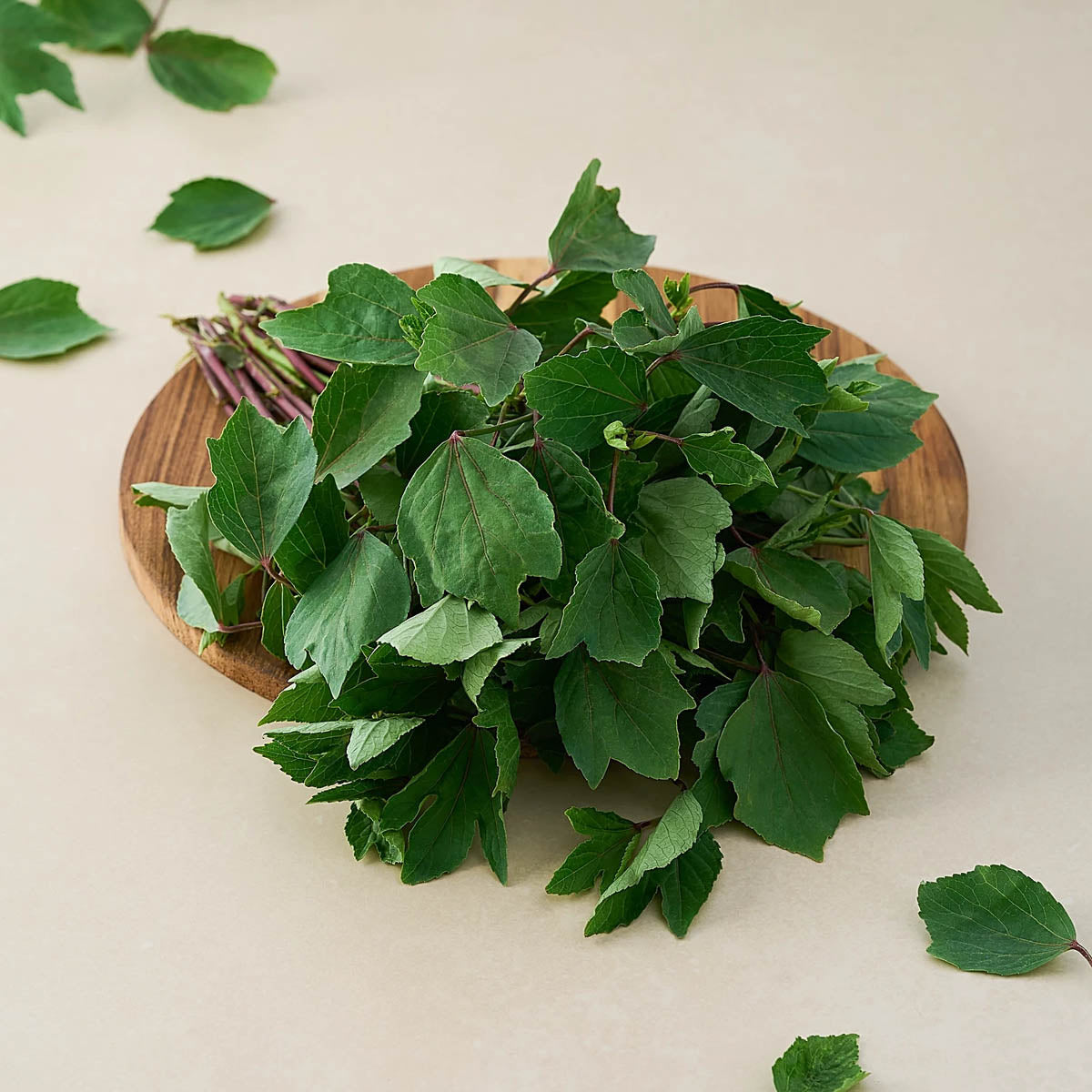 Pulicha Keerai (Gongura)