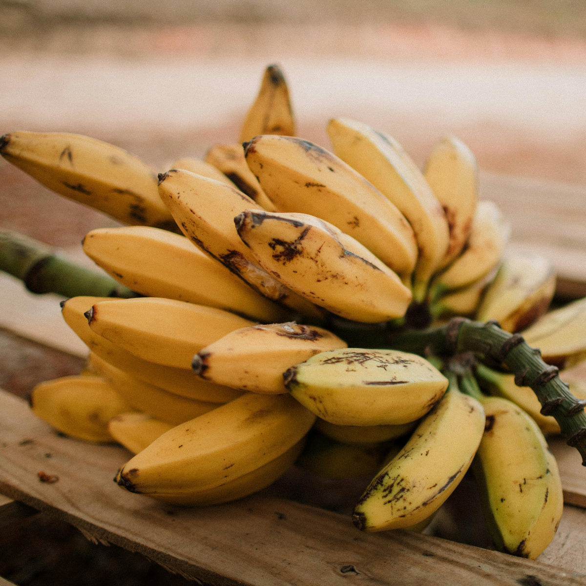 Hill Banana