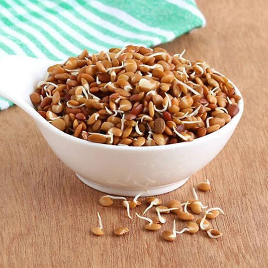 Horsegram Sprouts
