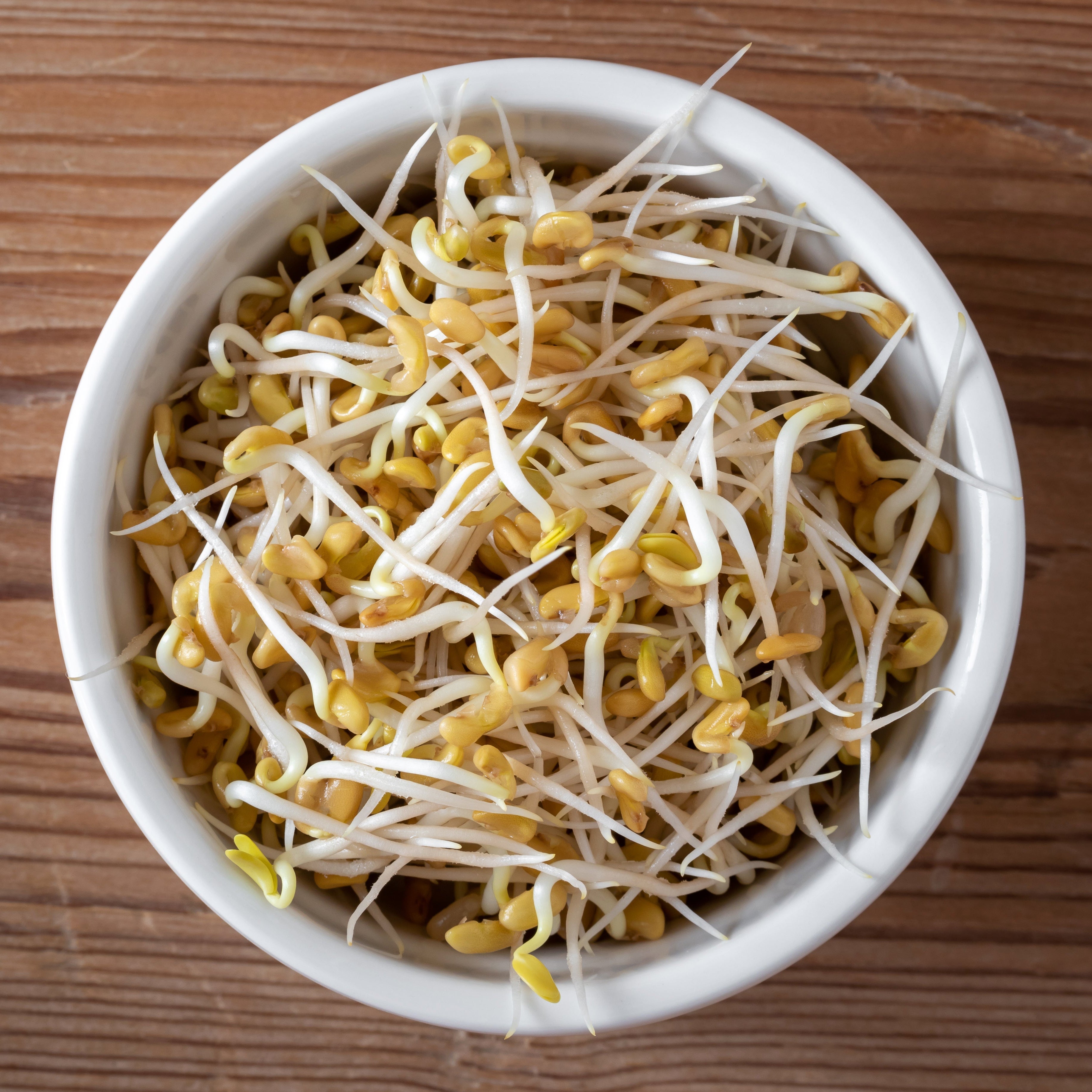 Methi Sprouts