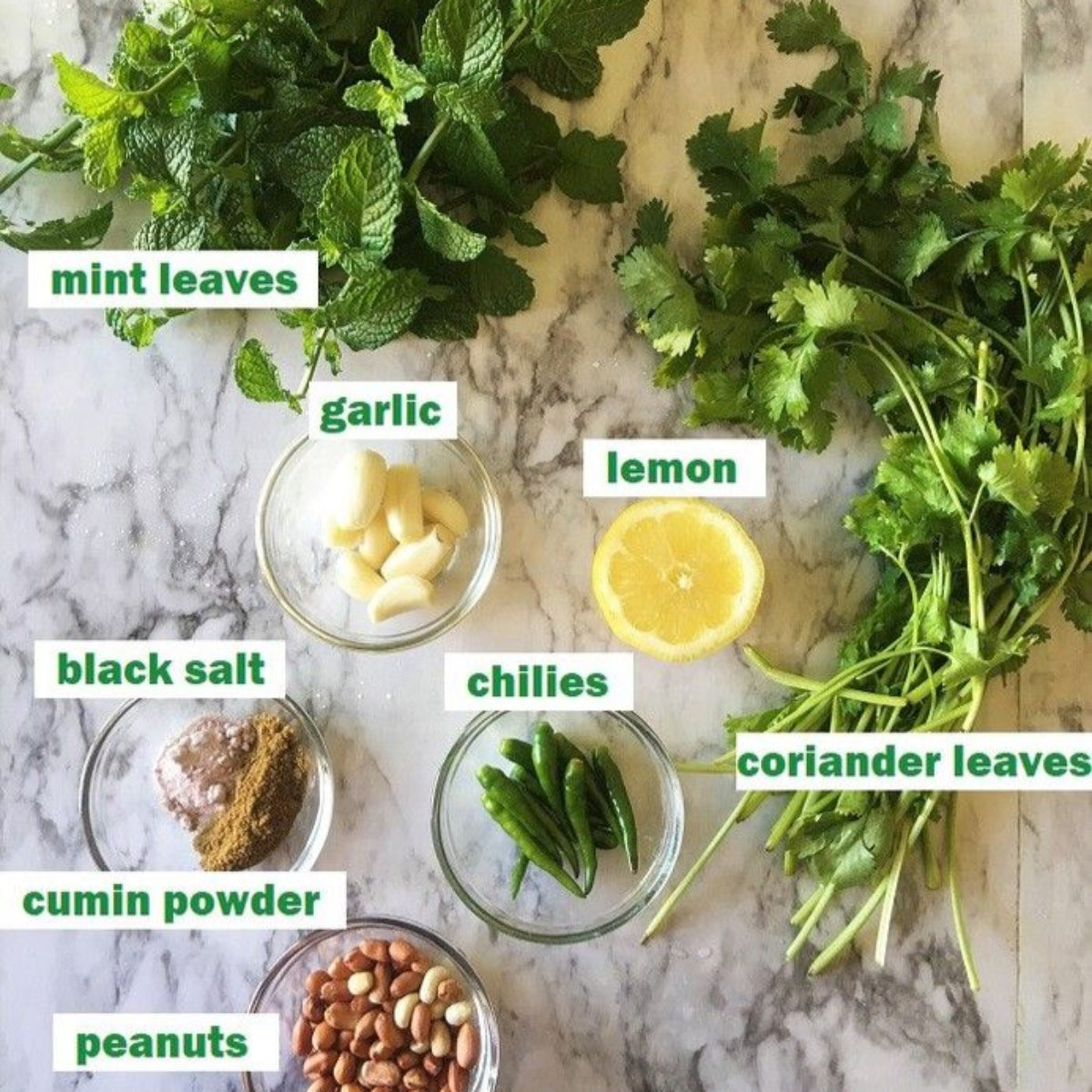 Mint Chutney (Pudina Chutney) Cuts