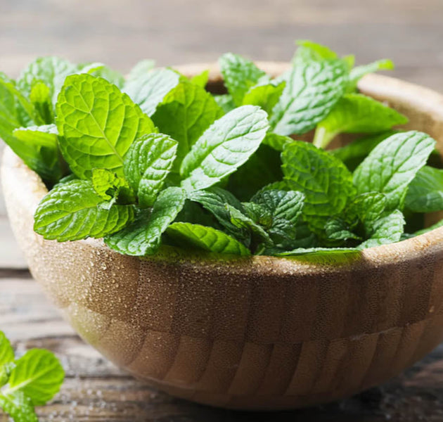 Mint / Pudhina