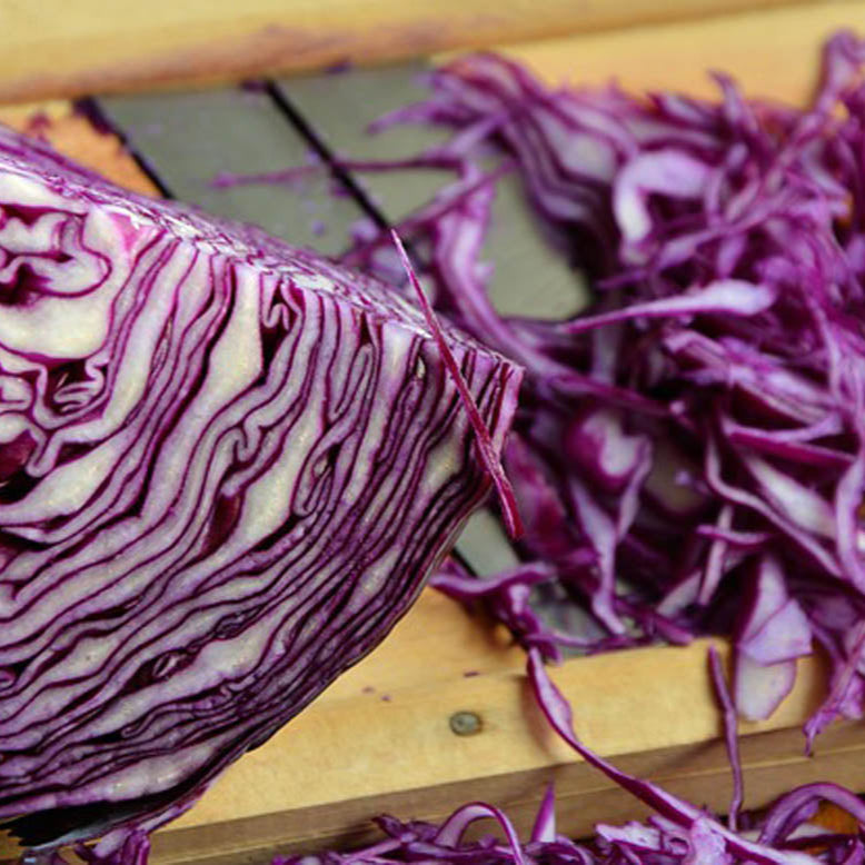 Red Cabbage
