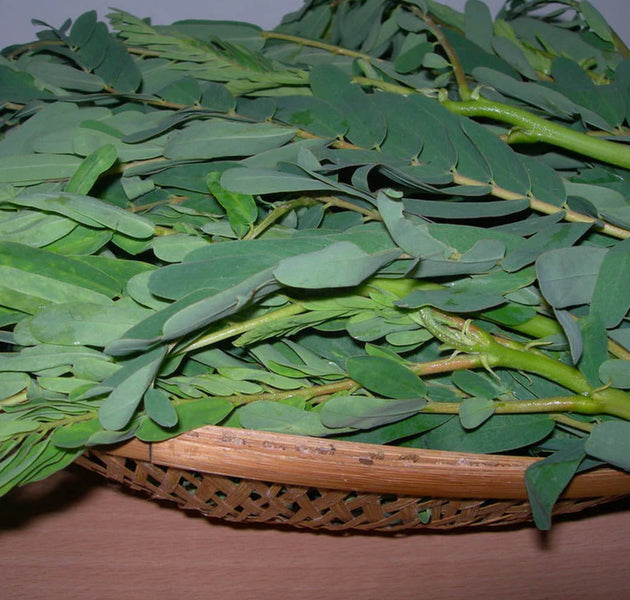 Agathi Keerai