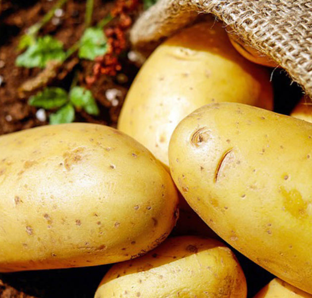 Potato Whole